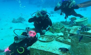 Daily dive program
